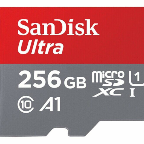 SanDisk 256GB Ultra microSDXC UHS-I Memory Card 100MB-s Grey – SDSQUNR-256G-GN3MN