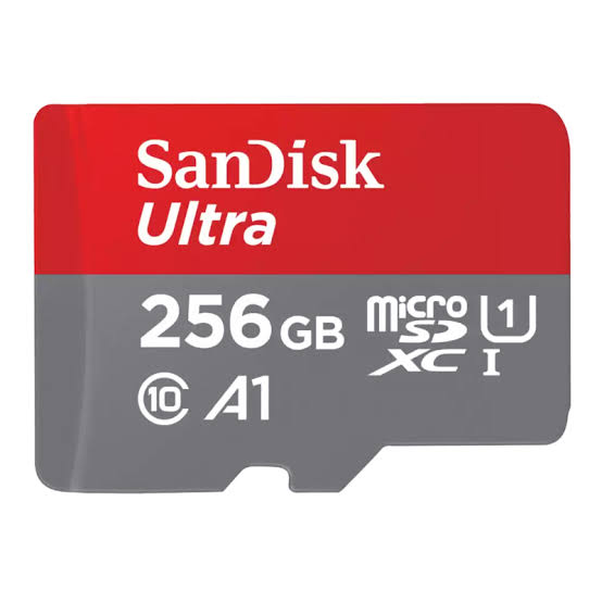 SanDisk 256GB microSDXC Class 10 Memory Card
